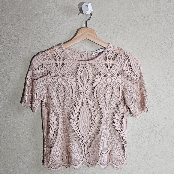 Zara Tops - ☆ ZARA Short Sleeve Baby Pink Sheer Lace Top, S ☆